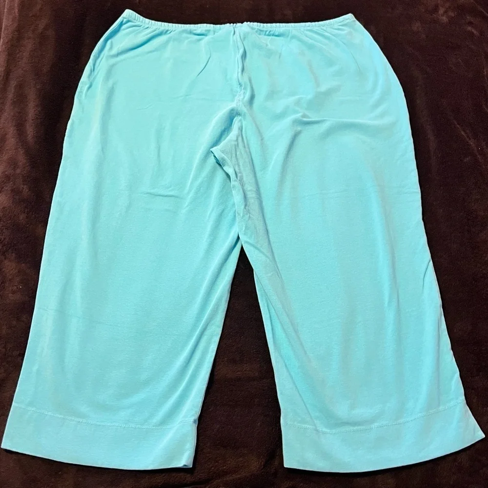 GUC Secret Treasures Women’s Aqua Blue Pajama Pants 16/18
